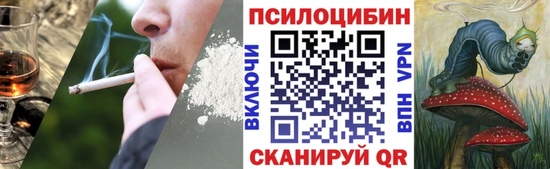 Галлюциногенные грибы Psilocybine cubensis  Волосово 